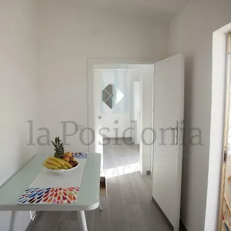 Lacassiopea Donnalucata (Sicily)