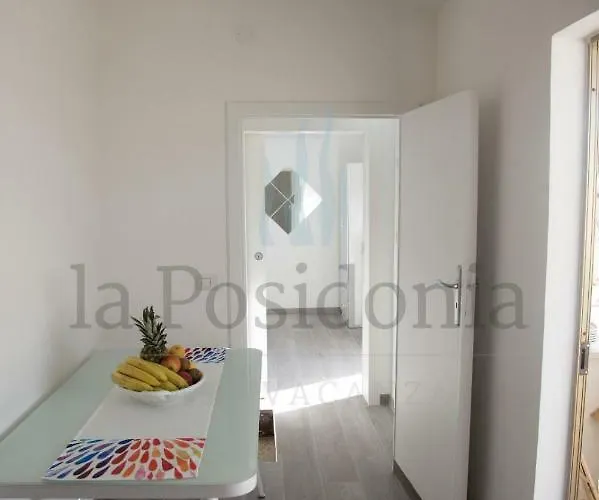 Lacassiopea Donnalucata (Sicily)