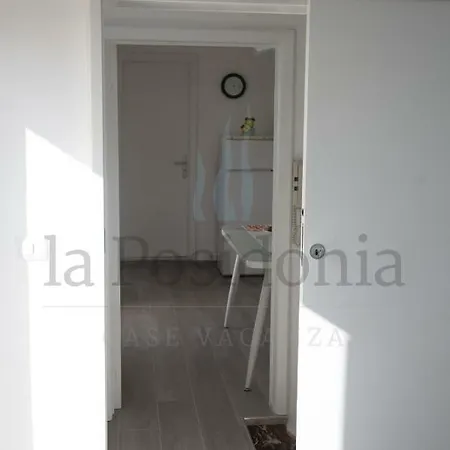 Lacassiopea